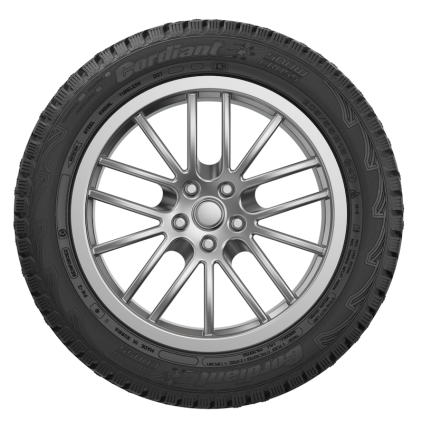 Шины Cordiant Snow Cross