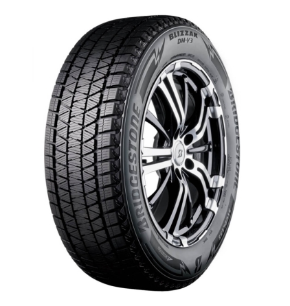 Шины Bridgestone Blizzak DM-V3