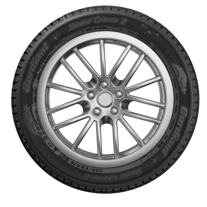 Шины Cordiant Snow Cross 2
