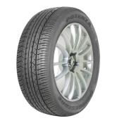 Potenza RE031