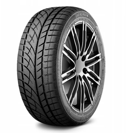 Шины Evergreen EW66