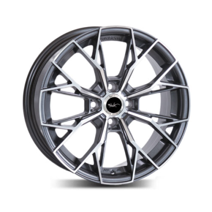 Диски Lizardo XH180