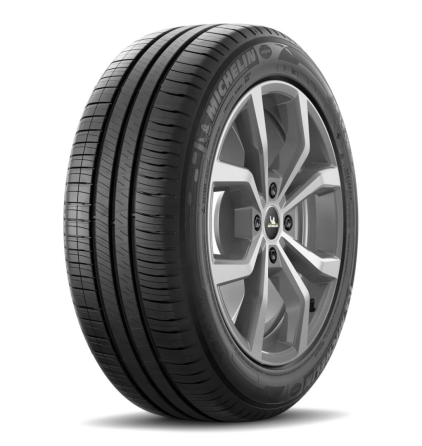 Шины Michelin Energy XM2 +