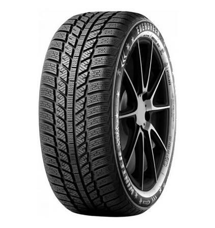 Шины Evergreen EW62