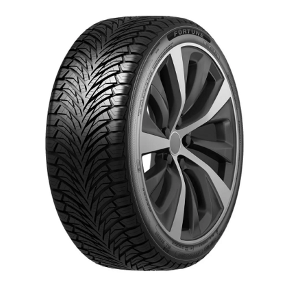 Шины Fortune Fitclime FSR-401 215/65 R16 98H TL