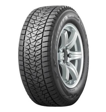 Шины Bridgestone Blizzak DM-V2
