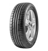 Evergreen DYNACONTROL ES880 315/35 R20 110Y 