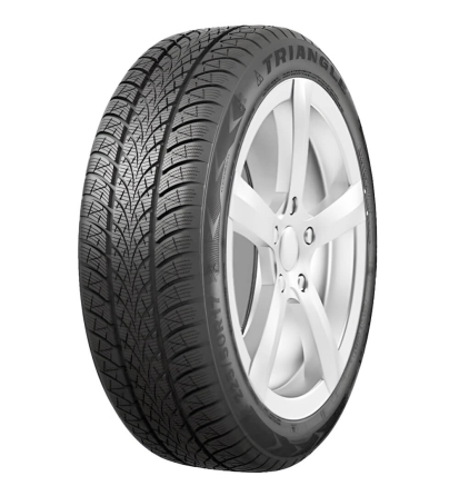 Шины Triangle WinterX TW401
